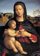 RAFFAELLO Sanzio Madonna and Child oil painting